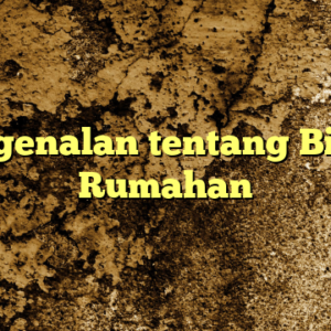 Pengenalan tentang Bisnis Rumahan