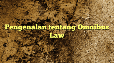 Pengenalan tentang Omnibus Law