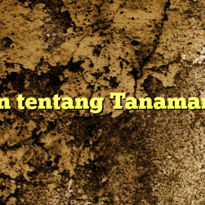 Ulasan tentang Tanaman Hias